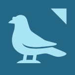 YOUR PIGEON